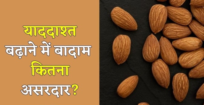 Benefits of Almonds: क्या बादाम खाने से सच में दिमाग तेज होता है? जानें इस पर विज्ञान की राय! Benefits of Almonds