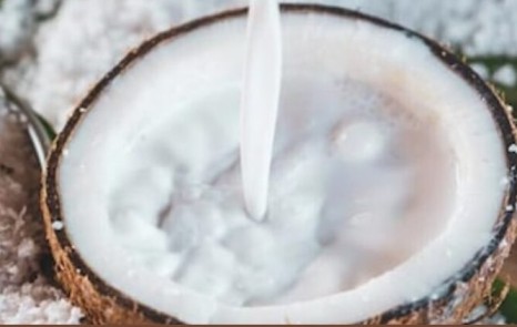 Hair Care: बालो की हर समस्या को दूर करने के लिए आप इस घरेलू नुस्के का इस्तेमाल करे Coconut milk